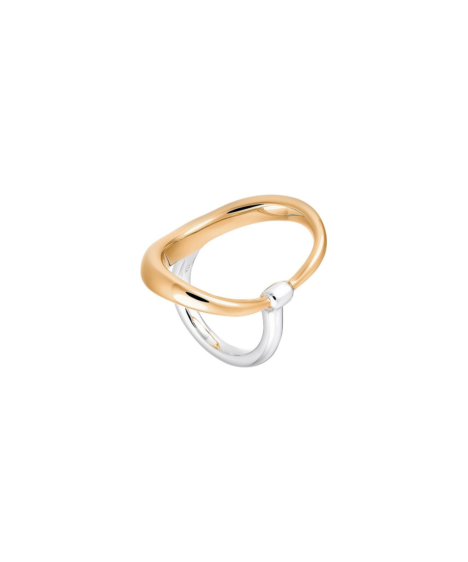Charlotte ChesnaisシャルロットシェネBAGUE TURTLE Charlotte Chesnais(シャルロットシェネ)】 BAGUE TURTLE｜PARIGOT