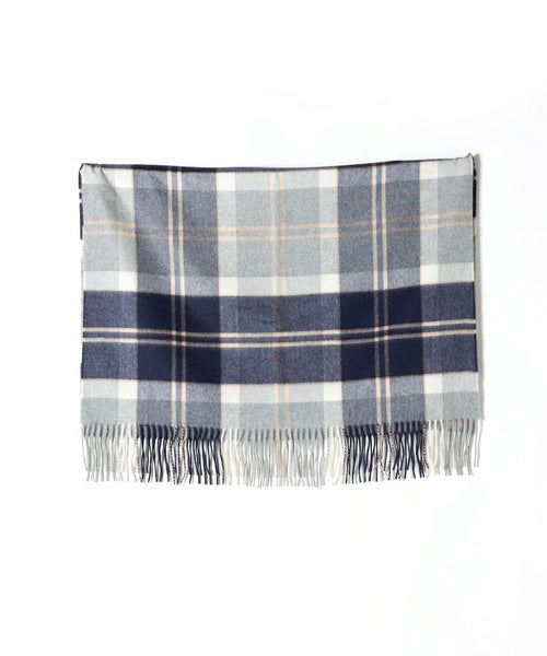 KU0499(Silver Bannockbane)