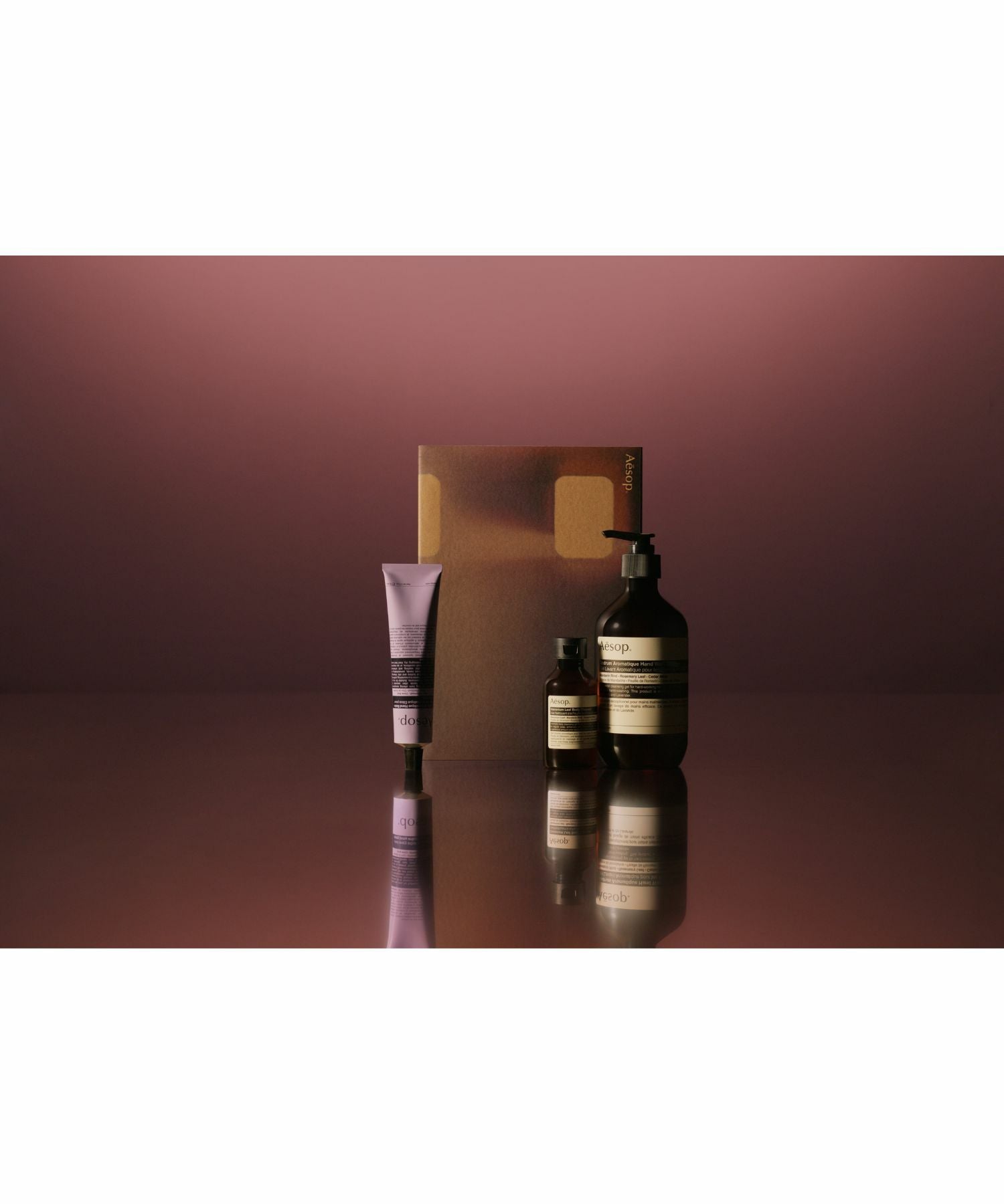 Aesop(イソップ)】 ギフトキット Screen 3｜PARIGOT ONLINE（パリゴ