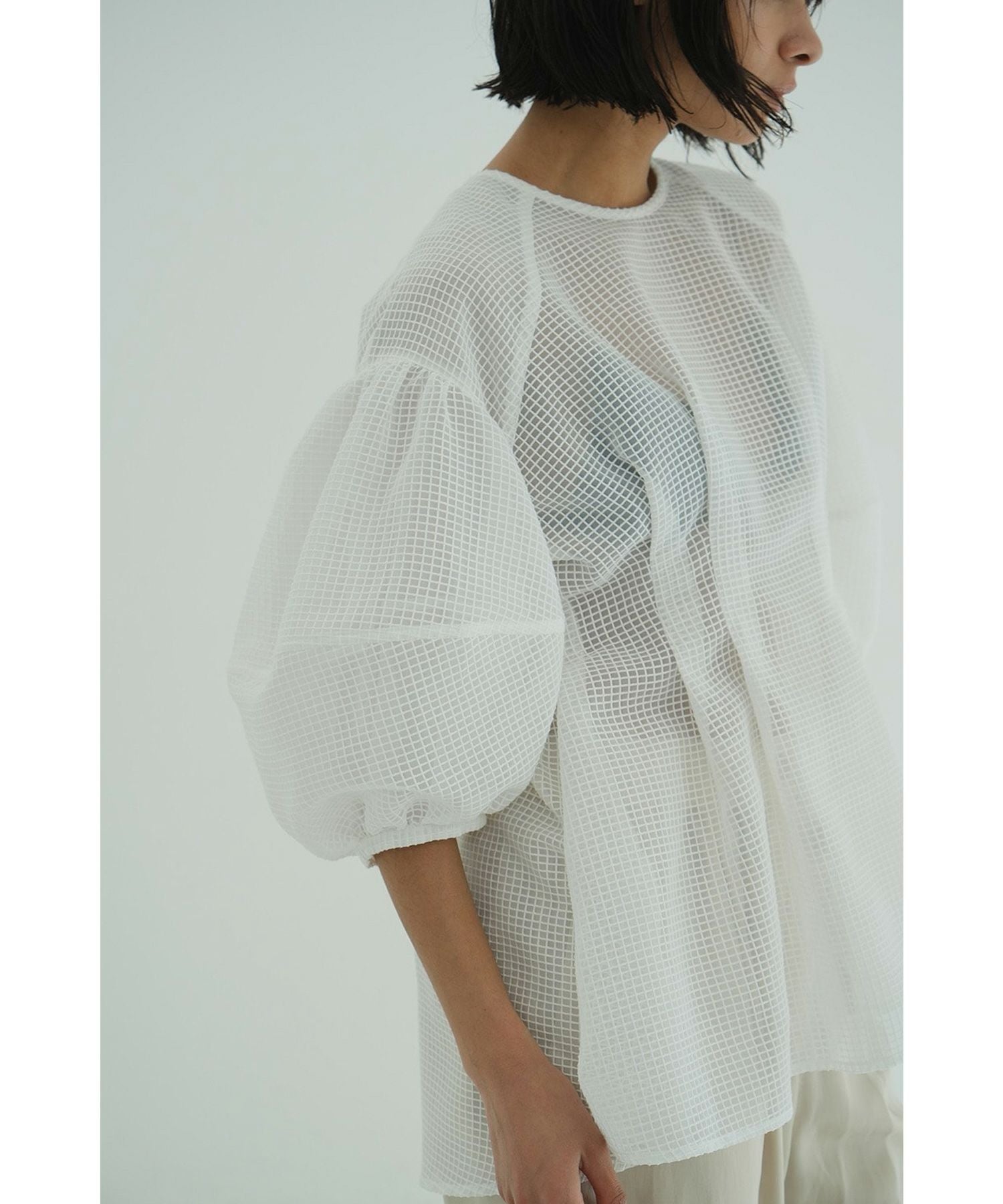 CLANE(クラネ)】 SHEER PLAID VOLUME SLEEVE TOPS｜PARIGOT ONLINE