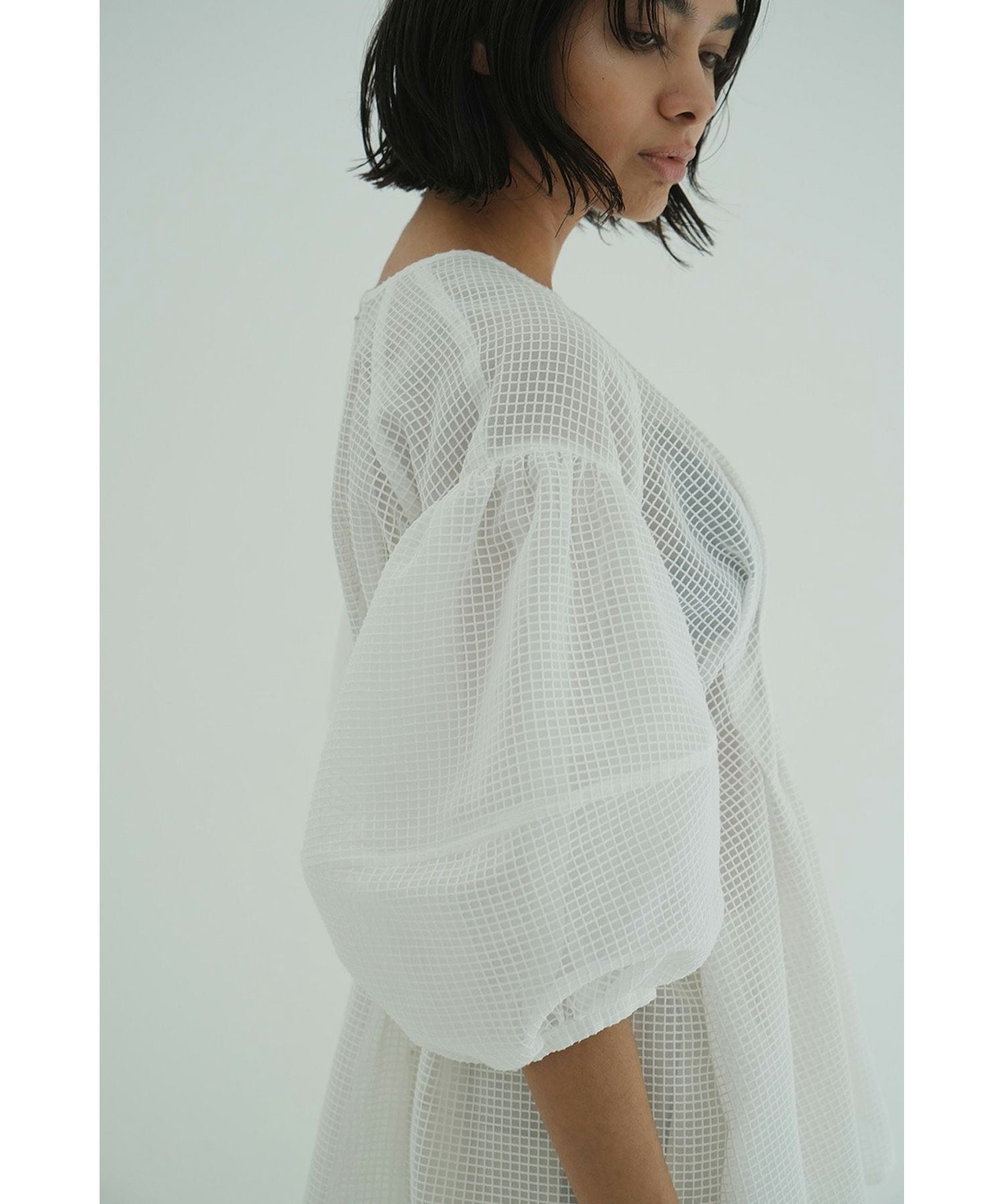 CLANE(クラネ)】 SHEER PLAID VOLUME SLEEVE TOPS｜PARIGOT ONLINE