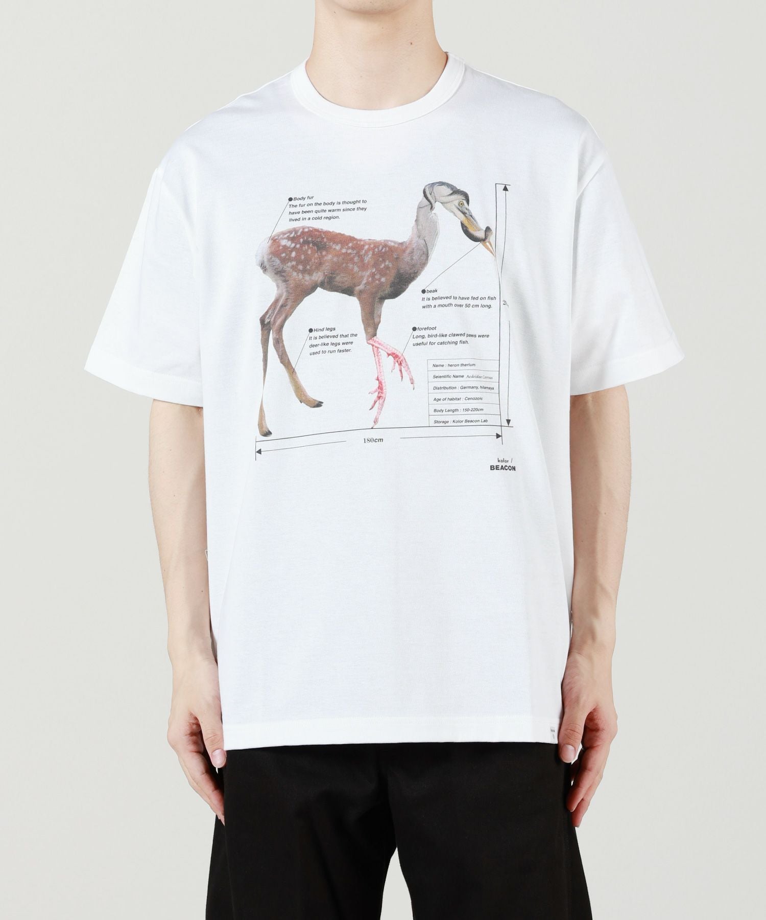 kolor BEACON(カラービーコン)】 T-Shirt｜PARIGOT ONLINE（パリゴ