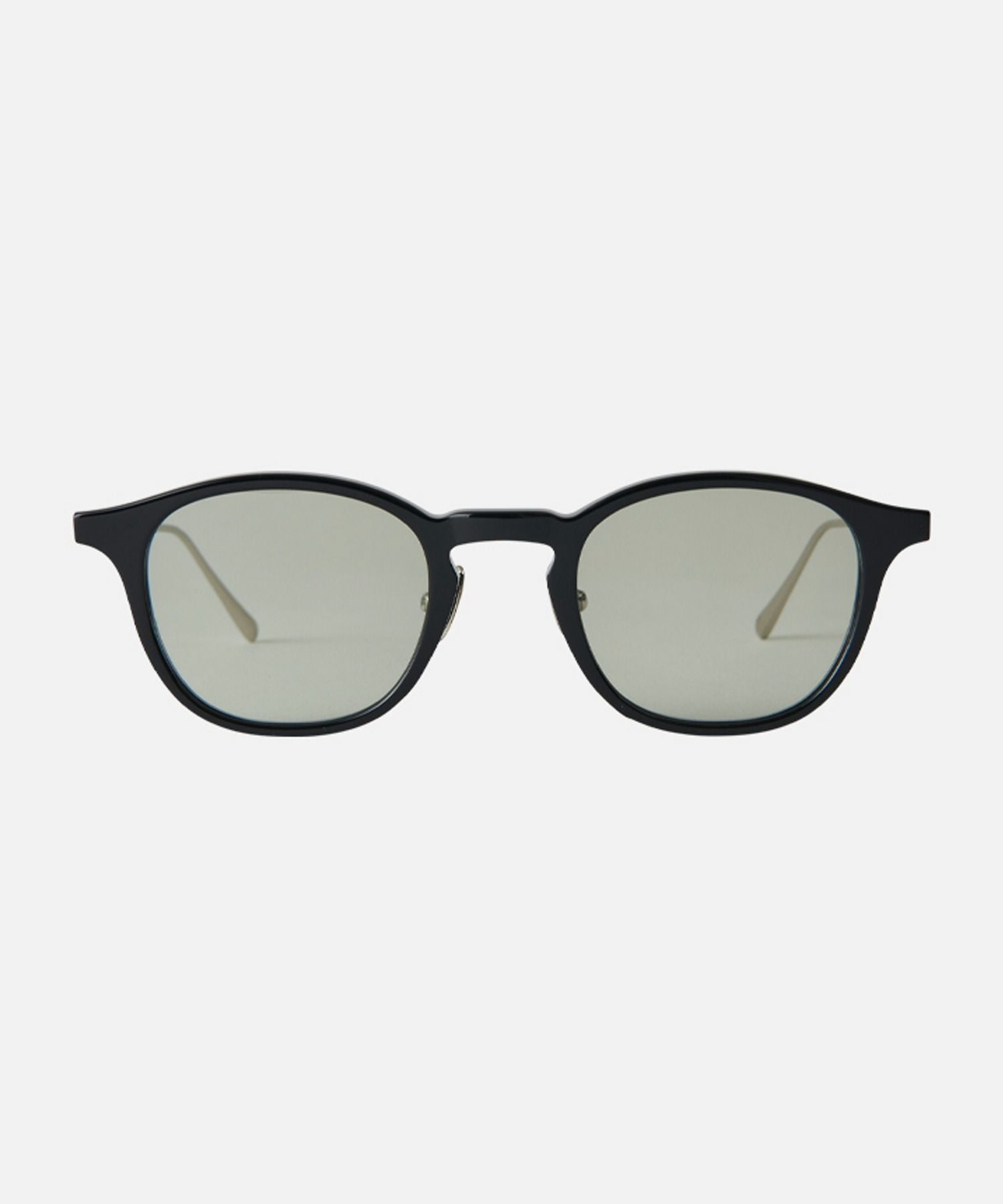 Shiny Black/Lt.Green