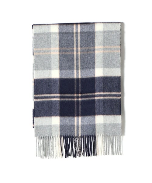 KU0499(Silver Bannockbane)