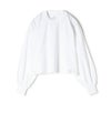 02(WHITE)