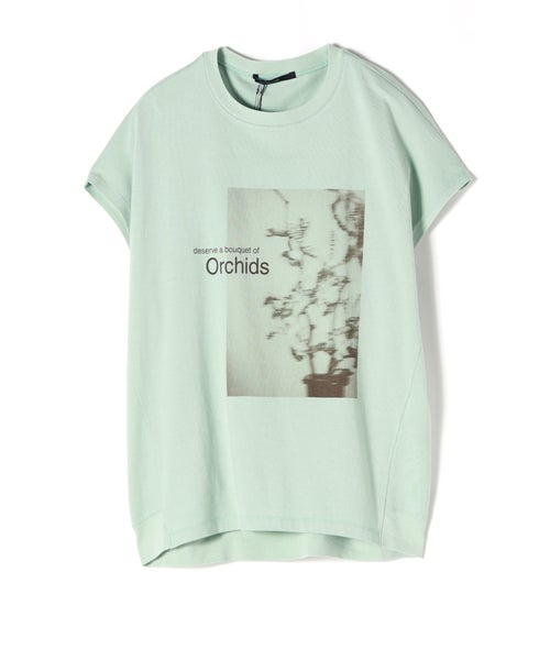 069(mint)