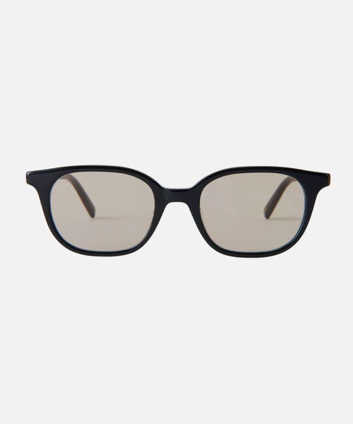 Shiny Black/Lt.Brown