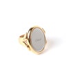 9DX(Gold-Silver)