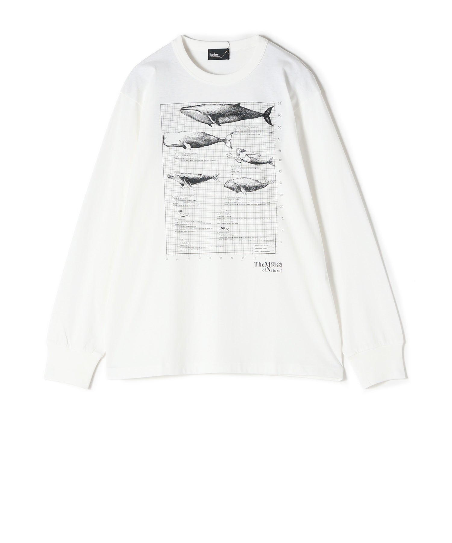 00(WHITE)