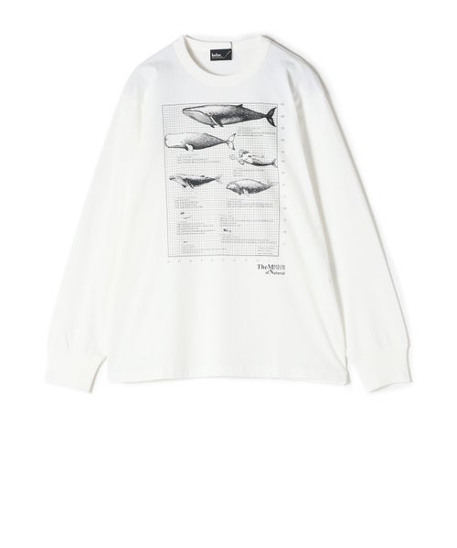 00(WHITE)