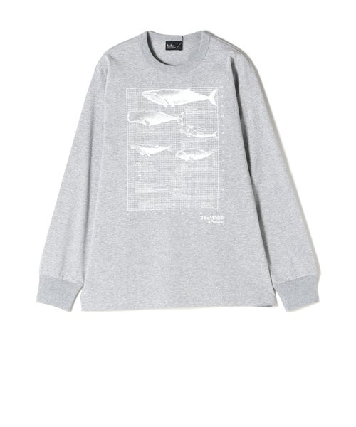03(GRAY)